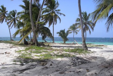Huge Beachfront Property near Bavaro