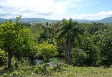 Property with Ocean View Sosua-Cangrejo
