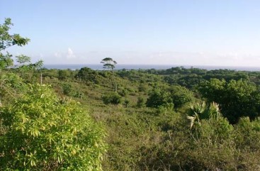 Stunning 110,000 sq meters of PRIME LAND FOR SALE 