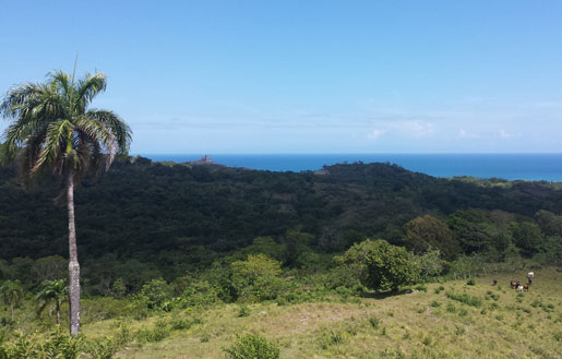#0 Beautiful land with Ocean View