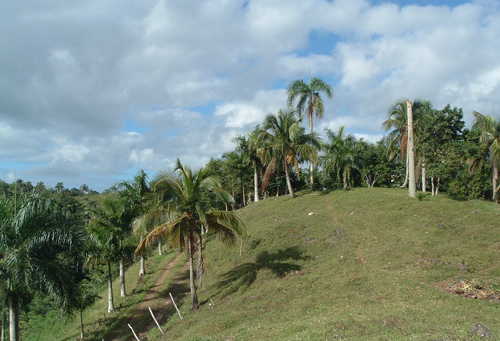 #7 Building Lots with spectacular ocean view Las Terrenas