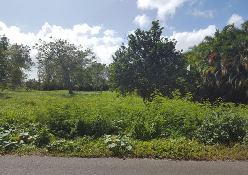 #4 Nice building lot in Guavaberry Country Club Juan Dolio