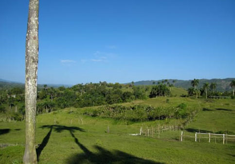 #5 Low cost ocean view building lots in Jamao