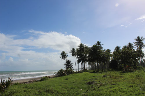 #9 Prime Beachfront Property Near Cabarete - Perfect for Investment or Developmen