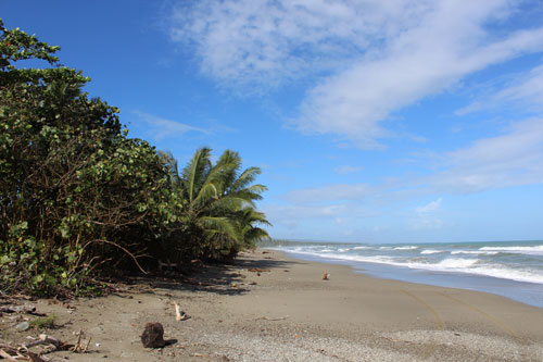 #12 Prime Beachfront Property Near Cabarete - Perfect for Investment or Developmen