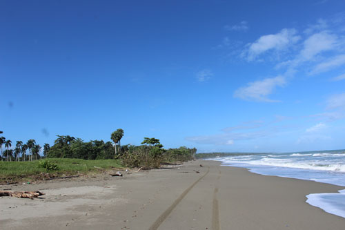 #4 Prime Beachfront Property Near Cabarete - Perfect for Investment or Developmen