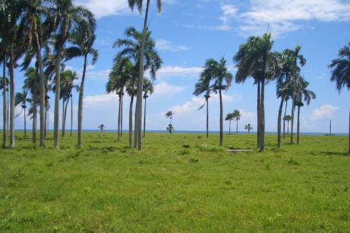 #5 Prime Beachfront Property Near Cabarete - Perfect for Investment or Developmen