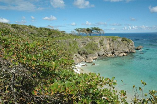 #4 Magnificent ocean front development land - Cabrera Real Estate